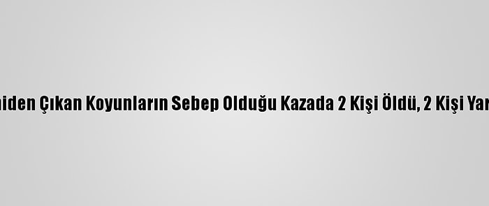 Yola Aniden Çıkan Koyunların Sebep Olduğu Kazada 2 Kişi Öldü, 2 Kişi Yaralandı