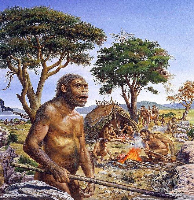 4. Homo Erectus (1,9 milyon - 100 bin yıl önce)