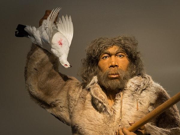 7. Homo Neanderthalensis (600 bin - 30 bin yıl önce)