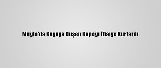 Muğla'da Kuyuya Düşen Köpeği İtfaiye Kurtardı