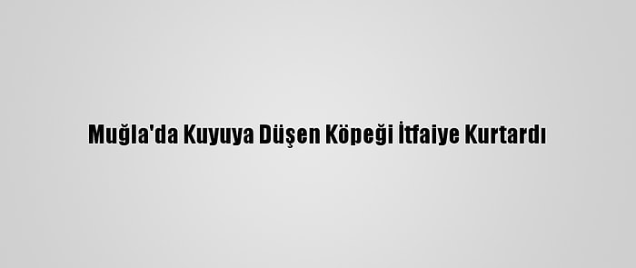 Muğla'da Kuyuya Düşen Köpeği İtfaiye Kurtardı