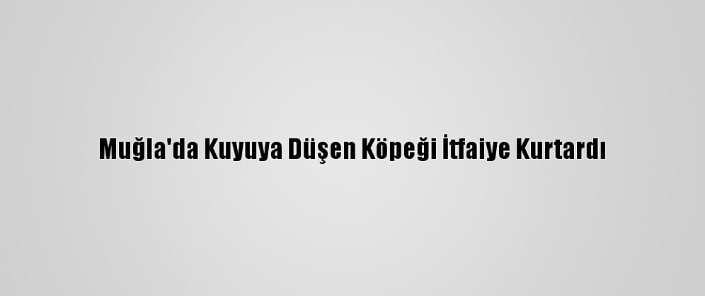 Muğla'da Kuyuya Düşen Köpeği İtfaiye Kurtardı