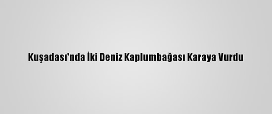 Kuşadası'nda İki Deniz Kaplumbağası Karaya Vurdu