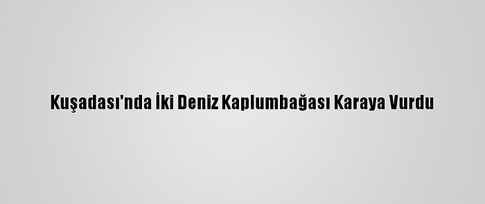 Kuşadası'nda İki Deniz Kaplumbağası Karaya Vurdu