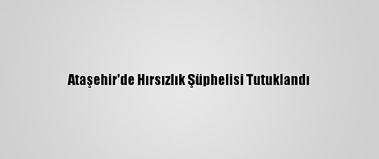 Ataşehir'de Hırsızlık Şüphelisi Tutuklandı
