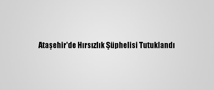 Ataşehir'de Hırsızlık Şüphelisi Tutuklandı
