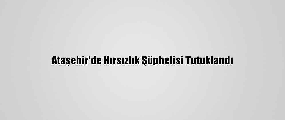 Ataşehir'de Hırsızlık Şüphelisi Tutuklandı