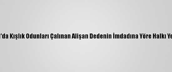 Ordu'da Kışlık Odunları Çalınan Alişan Dedenin İmdadına Yöre Halkı Yetişti