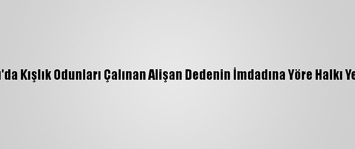 Ordu'da Kışlık Odunları Çalınan Alişan Dedenin İmdadına Yöre Halkı Yetişti