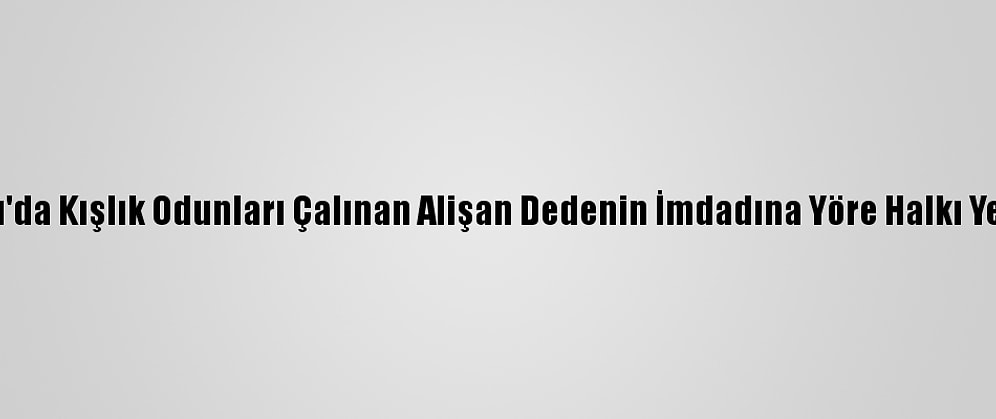Ordu'da Kışlık Odunları Çalınan Alişan Dedenin İmdadına Yöre Halkı Yetişti