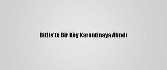 Bitlis'te Bir Köy Karantinaya Alındı
