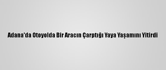 Adana'da Otoyolda Bir Aracın Çarptığı Yaya Yaşamını Yitirdi