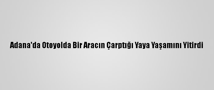 Adana'da Otoyolda Bir Aracın Çarptığı Yaya Yaşamını Yitirdi