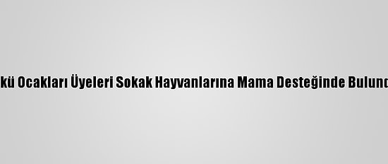 Ülkü Ocakları Üyeleri Sokak Hayvanlarına Mama Desteğinde Bulundu