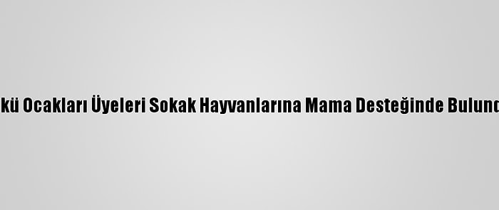 Ülkü Ocakları Üyeleri Sokak Hayvanlarına Mama Desteğinde Bulundu