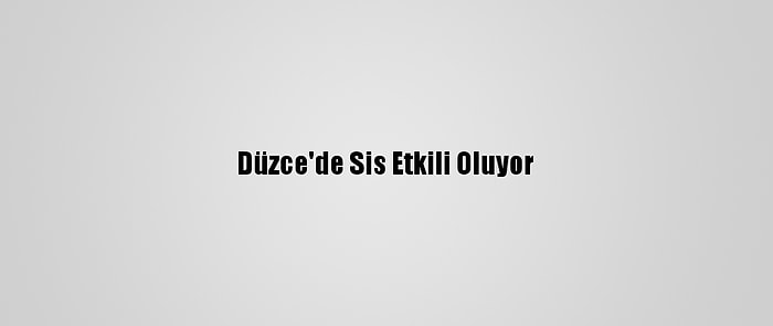 Düzce'de Sis Etkili Oluyor