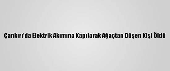 Çankırı'da Elektrik Akımına Kapılarak Ağaçtan Düşen Kişi Öldü
