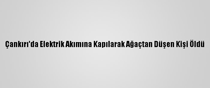 Çankırı'da Elektrik Akımına Kapılarak Ağaçtan Düşen Kişi Öldü