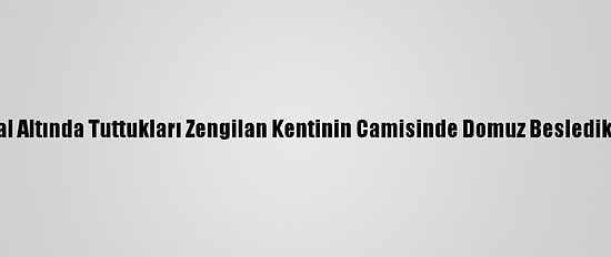 Ermenilerin İşgal Altında Tuttukları Zengilan Kentinin Camisinde Domuz Besledikleri Ortaya Çıktı