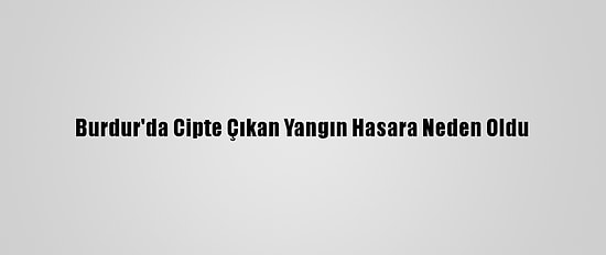 Burdur'da Cipte Çıkan Yangın Hasara Neden Oldu