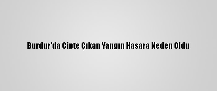 Burdur'da Cipte Çıkan Yangın Hasara Neden Oldu