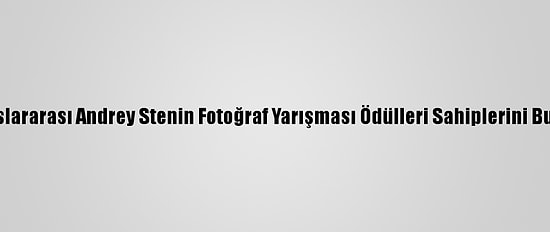 Uluslararası Andrey Stenin Fotoğraf Yarışması Ödülleri Sahiplerini Buldu
