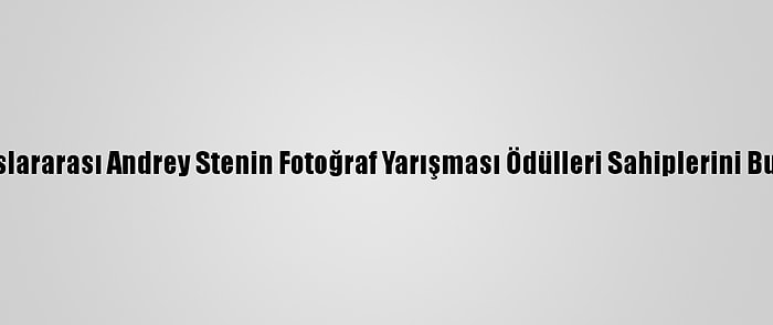 Uluslararası Andrey Stenin Fotoğraf Yarışması Ödülleri Sahiplerini Buldu