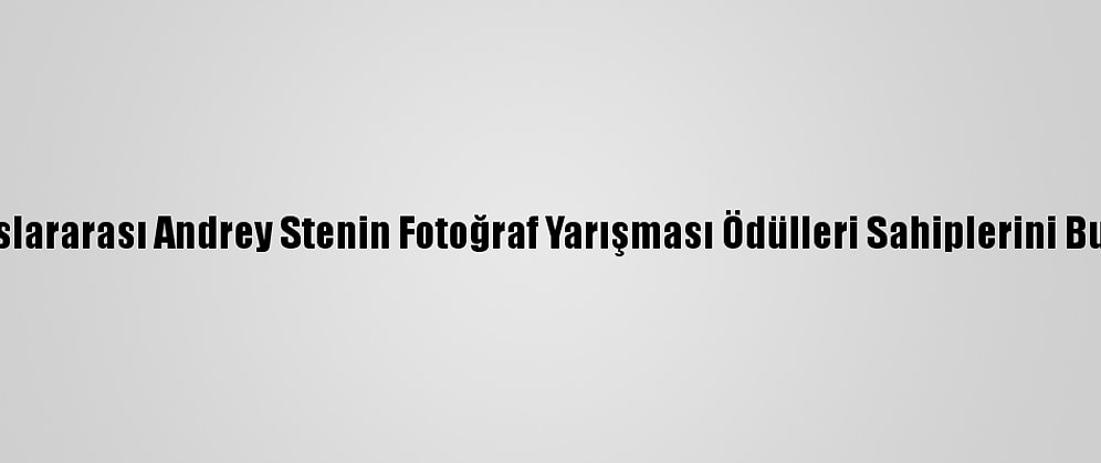 Uluslararası Andrey Stenin Fotoğraf Yarışması Ödülleri Sahiplerini Buldu