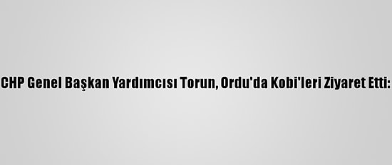 CHP Genel Başkan Yardımcısı Torun, Ordu'da Kobi'leri Ziyaret Etti: