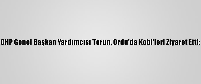 CHP Genel Başkan Yardımcısı Torun, Ordu'da Kobi'leri Ziyaret Etti: