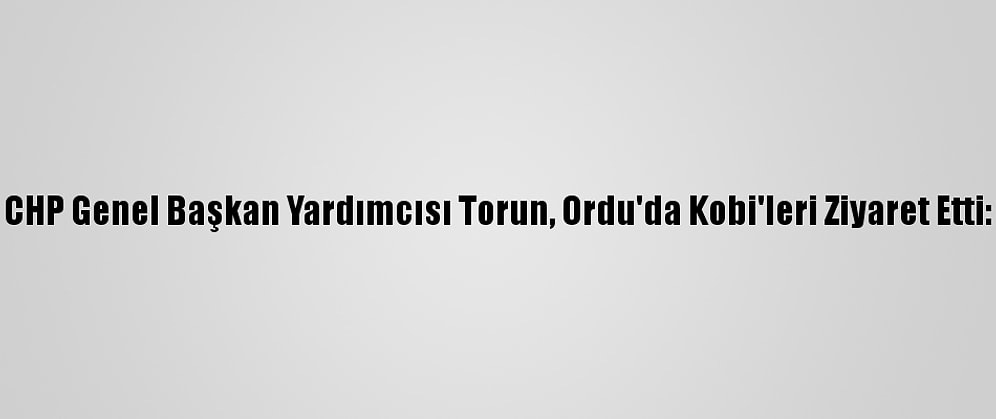 CHP Genel Başkan Yardımcısı Torun, Ordu'da Kobi'leri Ziyaret Etti: