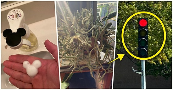 Hep Aynı Şeyleri Görmekten Sıkılanları İlginçliğe Doyuracak Birbirinden Acayip 15 Yeni Görsel