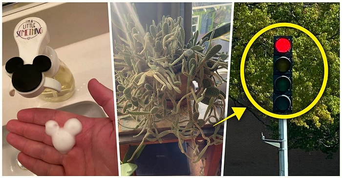 Hep Aynı Şeyleri Görmekten Sıkılanları İlginçliğe Doyuracak Birbirinden Acayip 15 Yeni Görsel