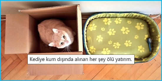 Günlük Hayatta Yaşadıkları veya Tanık Oldukları Olaylarla Yüzümüzü Güldürecek 17 Kişi