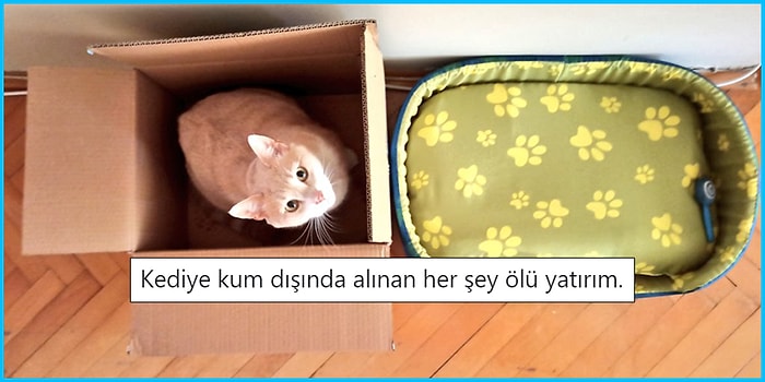 Günlük Hayatta Yaşadıkları veya Tanık Oldukları Olaylarla Yüzümüzü Güldürecek 17 Kişi