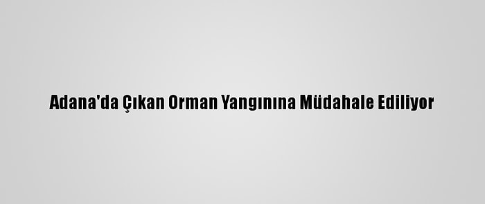 Adana'da Çıkan Orman Yangınına Müdahale Ediliyor