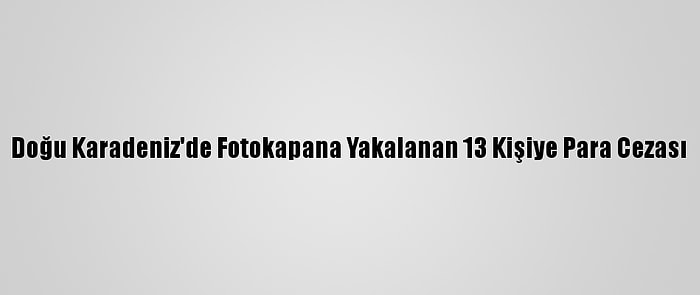 Doğu Karadeniz'de Fotokapana Yakalanan 13 Kişiye Para Cezası