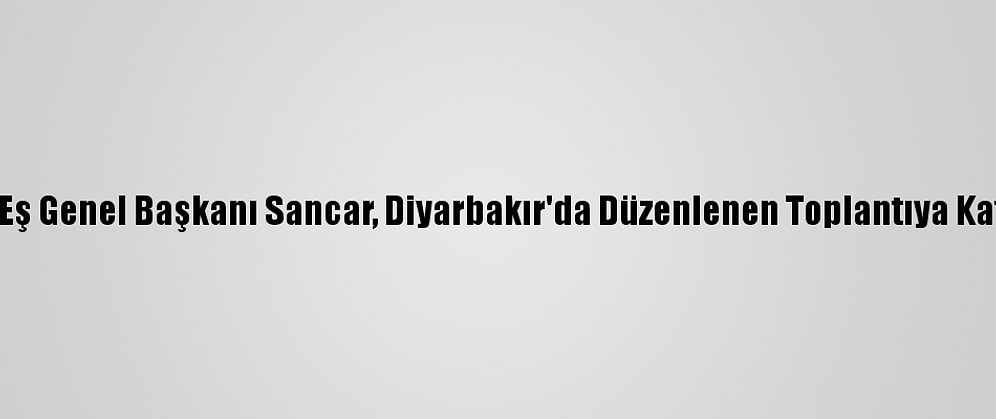 Hdp Eş Genel Başkanı Sancar, Diyarbakır'da Düzenlenen Toplantıya Katıldı: