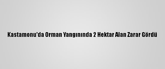 Kastamonu'da Orman Yangınında 2 Hektar Alan Zarar Gördü