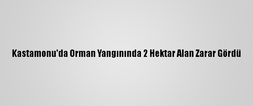 Kastamonu'da Orman Yangınında 2 Hektar Alan Zarar Gördü