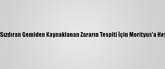Japonya, Petrol Sızdıran Gemiden Kaynaklanan Zararın Tespiti İçin Morityus'a Heyet Gönderecek