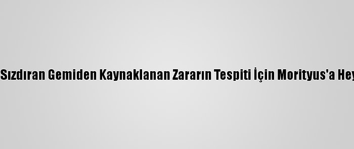 Japonya, Petrol Sızdıran Gemiden Kaynaklanan Zararın Tespiti İçin Morityus'a Heyet Gönderecek