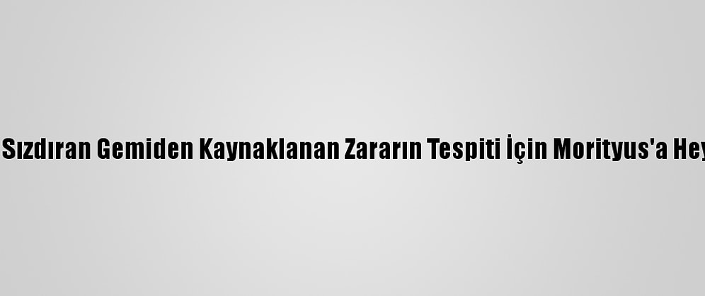 Japonya, Petrol Sızdıran Gemiden Kaynaklanan Zararın Tespiti İçin Morityus'a Heyet Gönderecek
