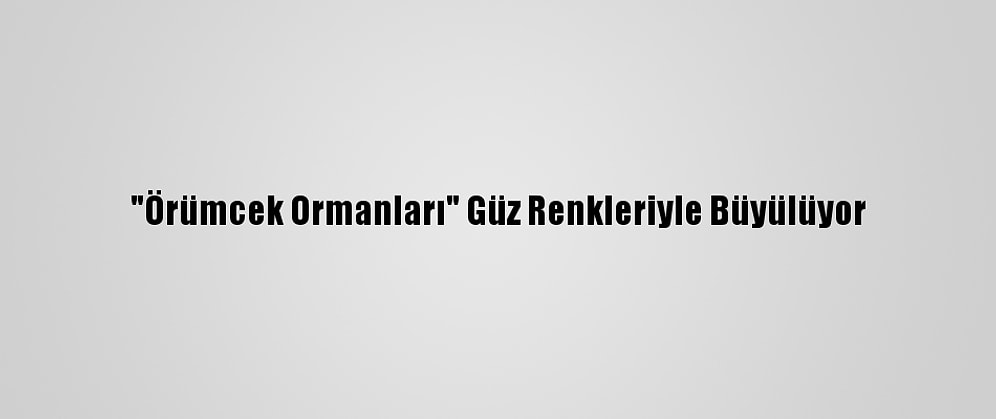 "Örümcek Ormanları" Güz Renkleriyle Büyülüyor