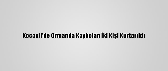 Kocaeli'de Ormanda Kaybolan İki Kişi Kurtarıldı