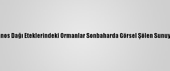 Ganos Dağı Eteklerindeki Ormanlar Sonbaharda Görsel Şölen Sunuyor