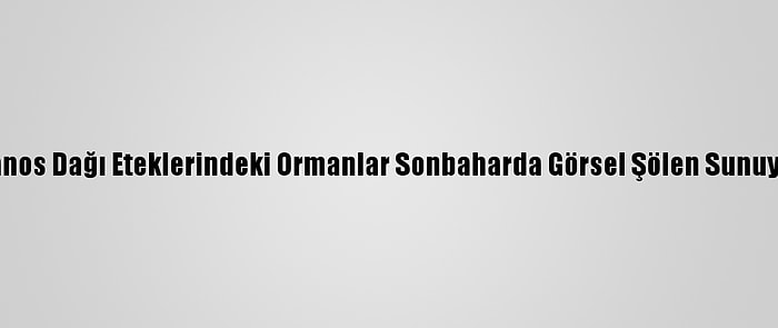 Ganos Dağı Eteklerindeki Ormanlar Sonbaharda Görsel Şölen Sunuyor