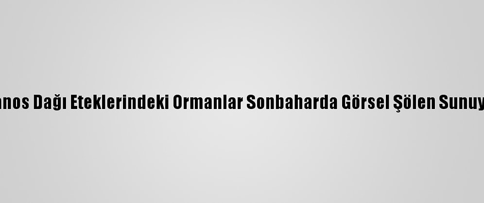 Ganos Dağı Eteklerindeki Ormanlar Sonbaharda Görsel Şölen Sunuyor
