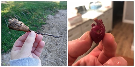 Еще 18 фото, на которых запечатлено совсем не то, что подумал ваш мозг (Часть 2)