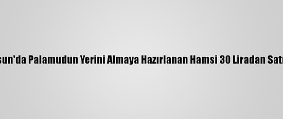 Samsun'da Palamudun Yerini Almaya Hazırlanan Hamsi 30 Liradan Satılıyor